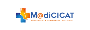 Logo_MadiCicat-removebg-preview